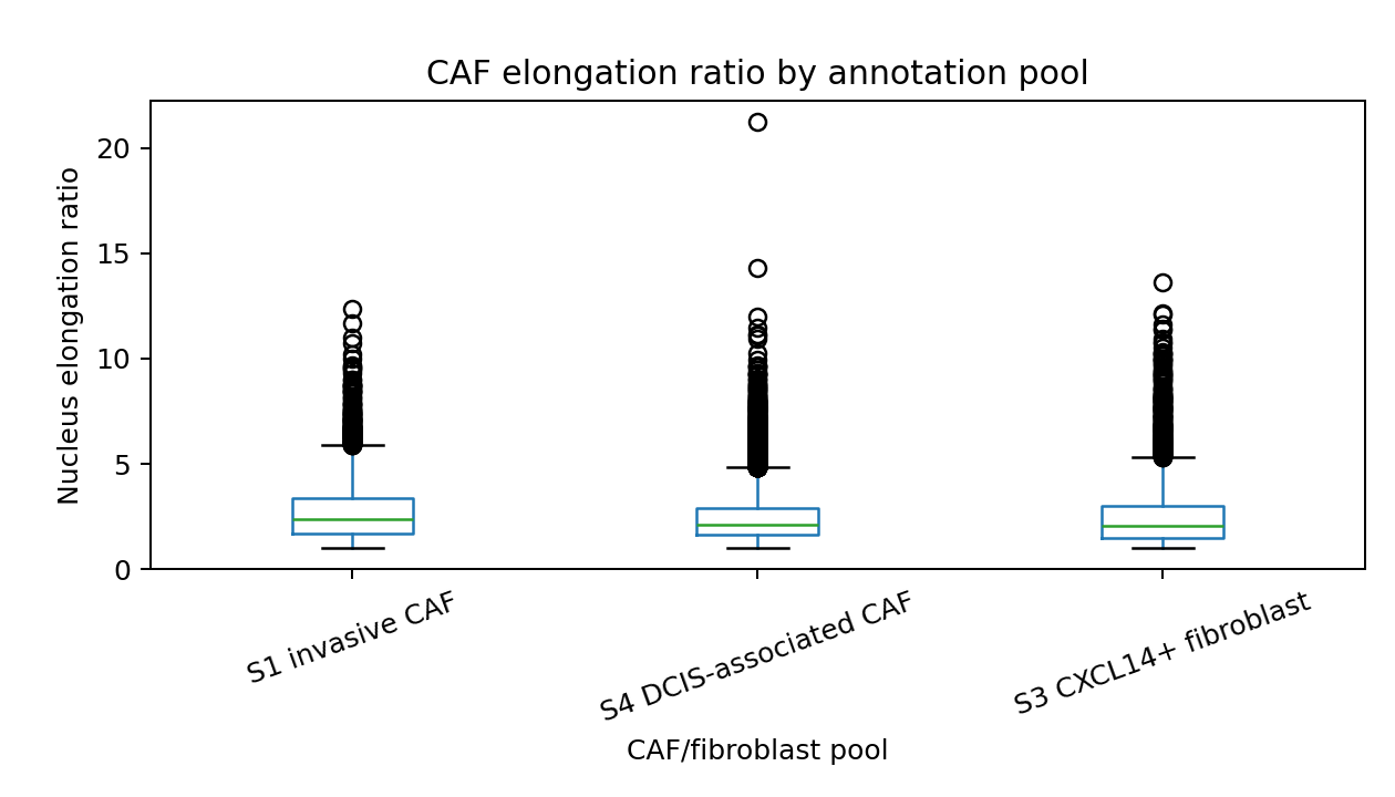 CAF elongation ratio distribution