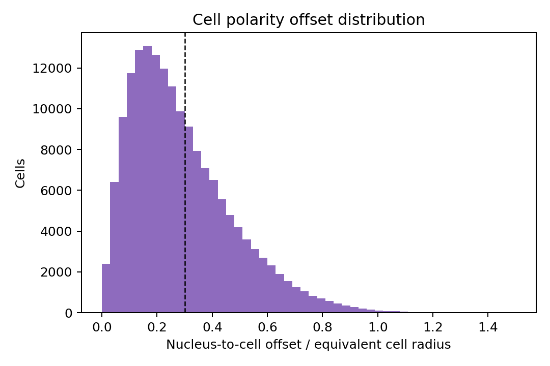 Cell polarity offset histogram
