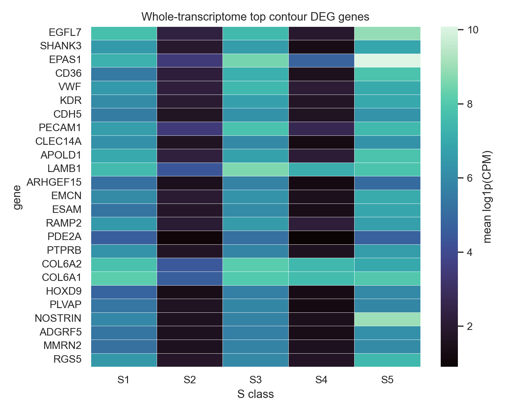 S1-S5 DEG heatmap
