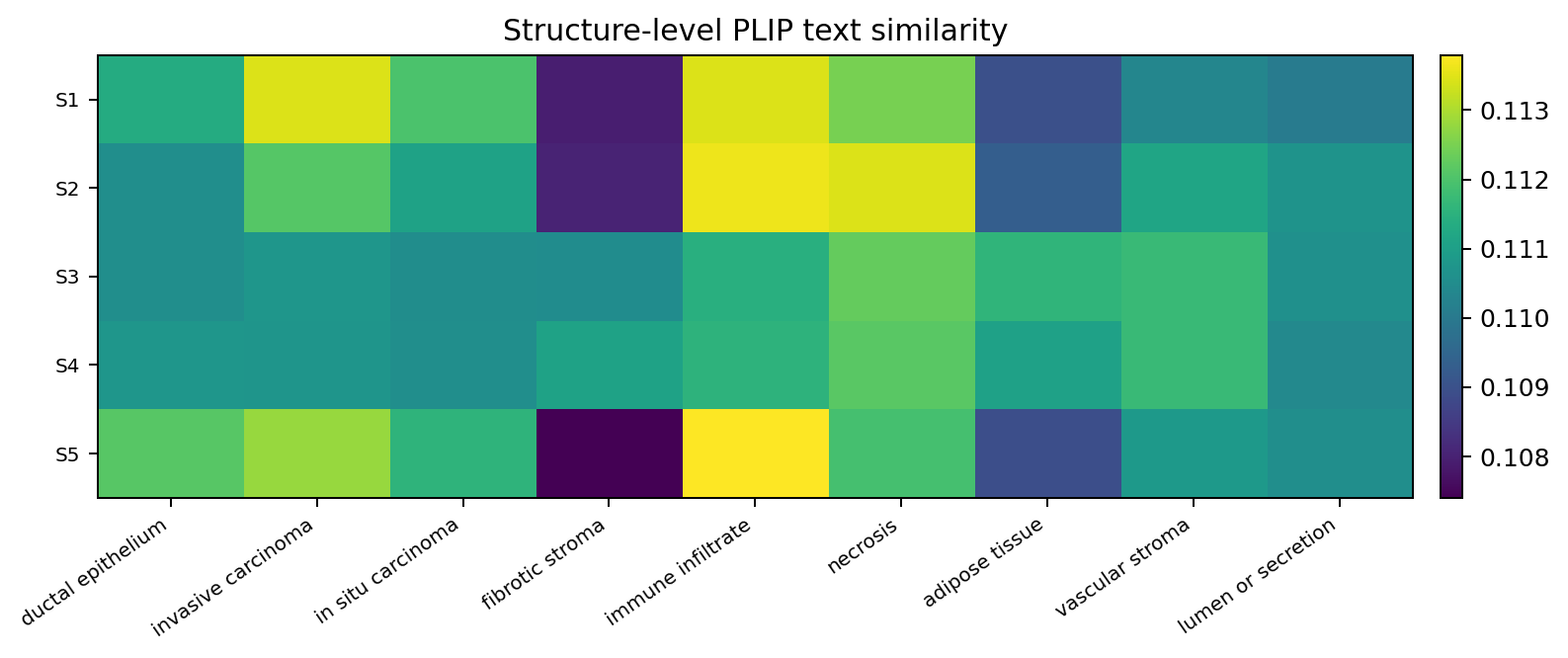 Structure-level PLIP text similarity heatmap