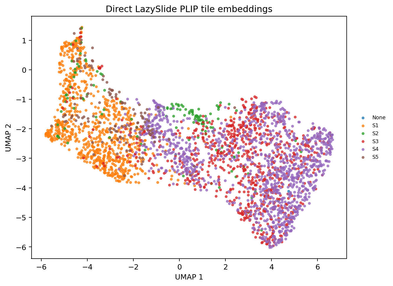 PLIP tile embedding UMAP