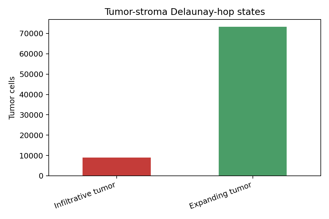 Tumor growth states